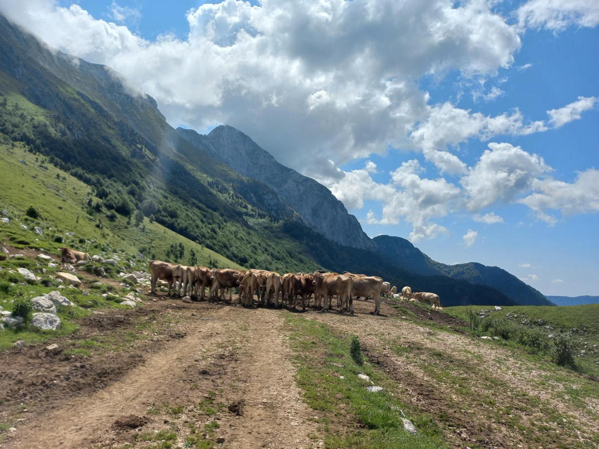 Appartamento Hisa Za Gradom Kobarid Esterno foto